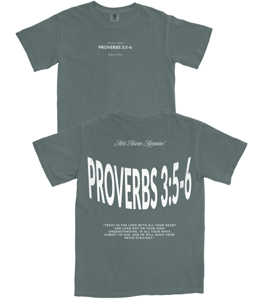 Proverbs 3:5-6 T-Shirt