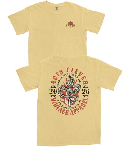 Vintage Apparel T-Shirt