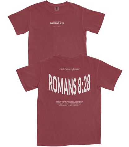 Romans 8:28 T-Shirt