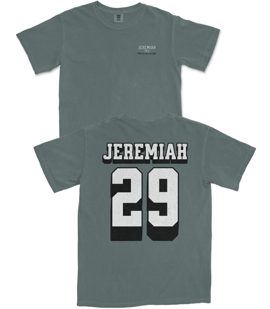 Jeremiah 29 T-Shirt