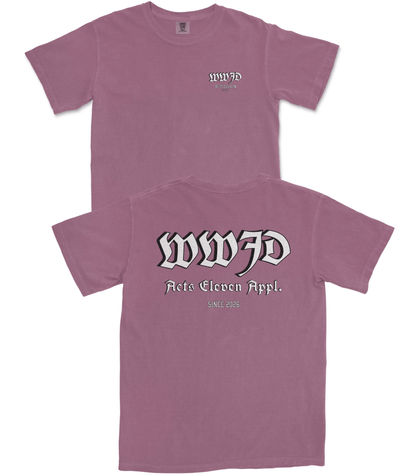 WWJD v2 T-Shirt