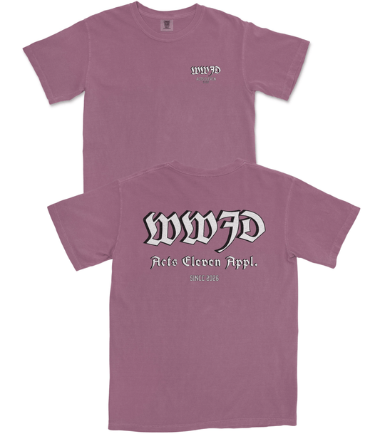 WWJD v2 T-Shirt